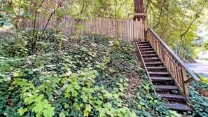 Un escalier en bois, entouré d’un feuillage verdoyant et dense, mène à une clôture en bois.