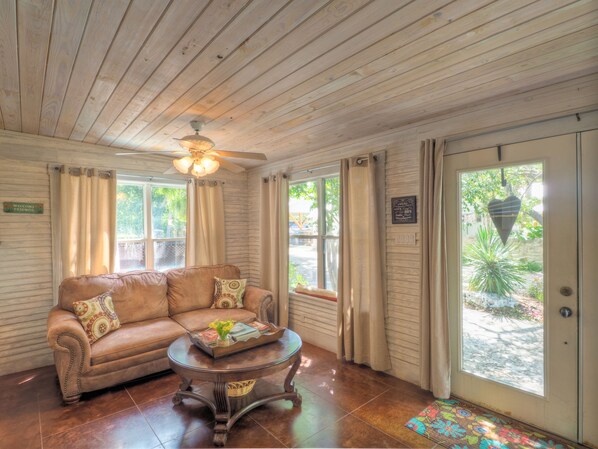 TV connectée, cheminée, lecteur de DVD, livres