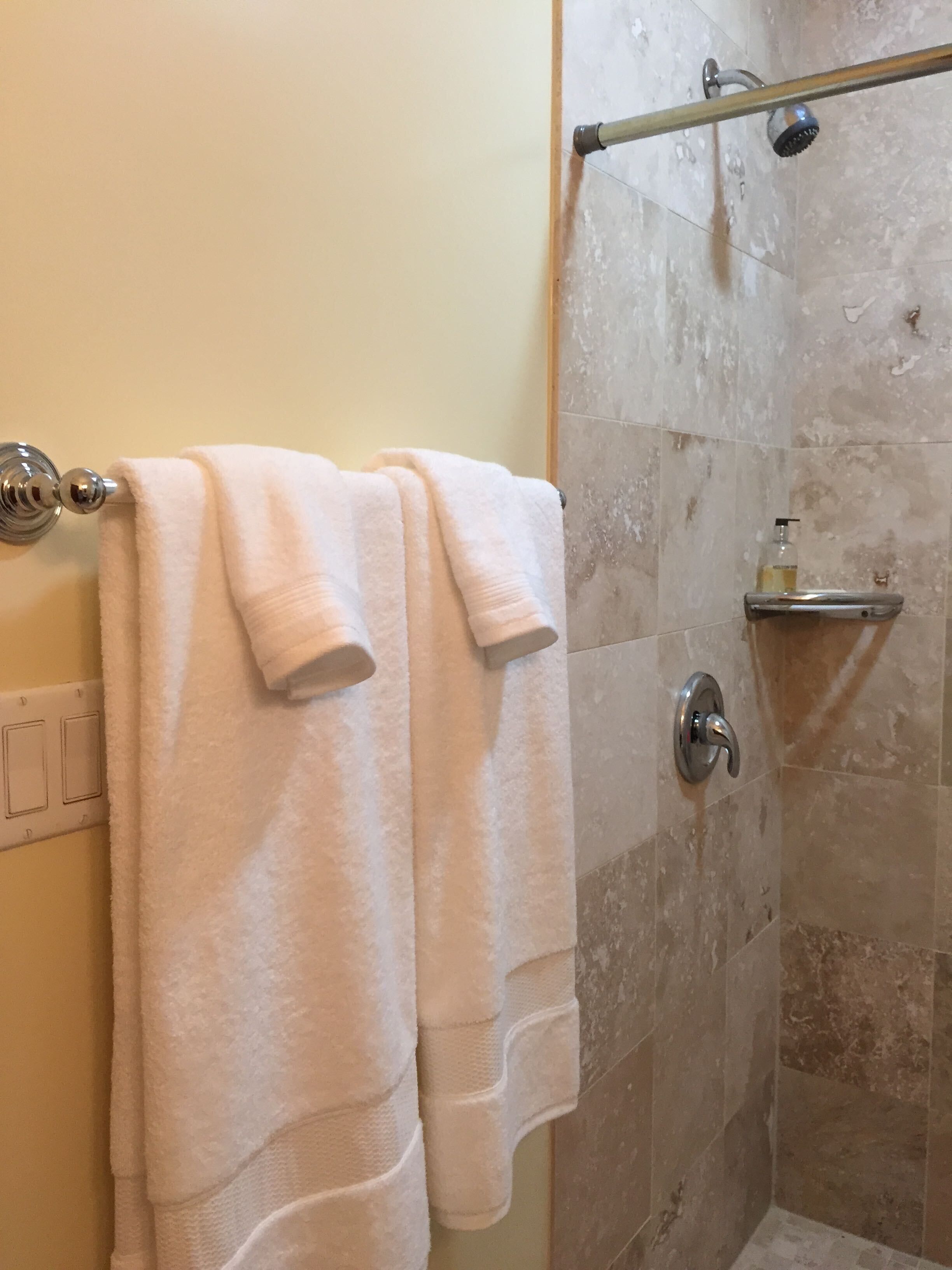 Shower, hair dryer, towels, soap