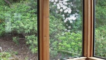 Uitzicht vanuit accommodatie