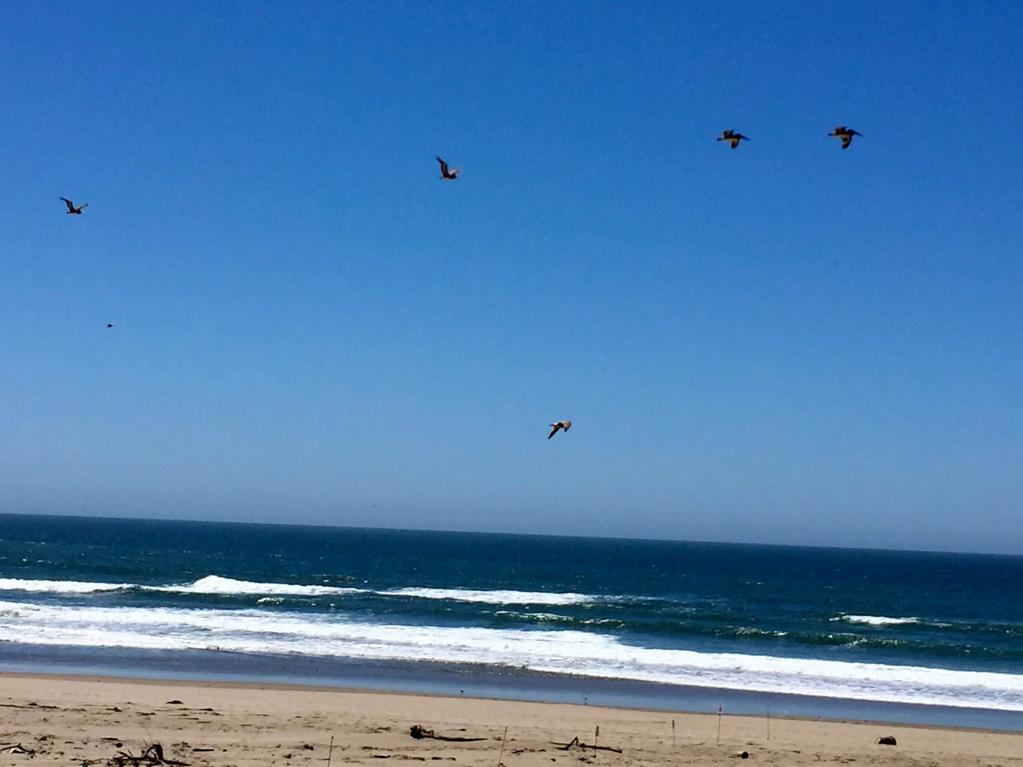Shangrila  Pajaro Dunes Ocean Front Condo Between Santa Cruz and Monterey