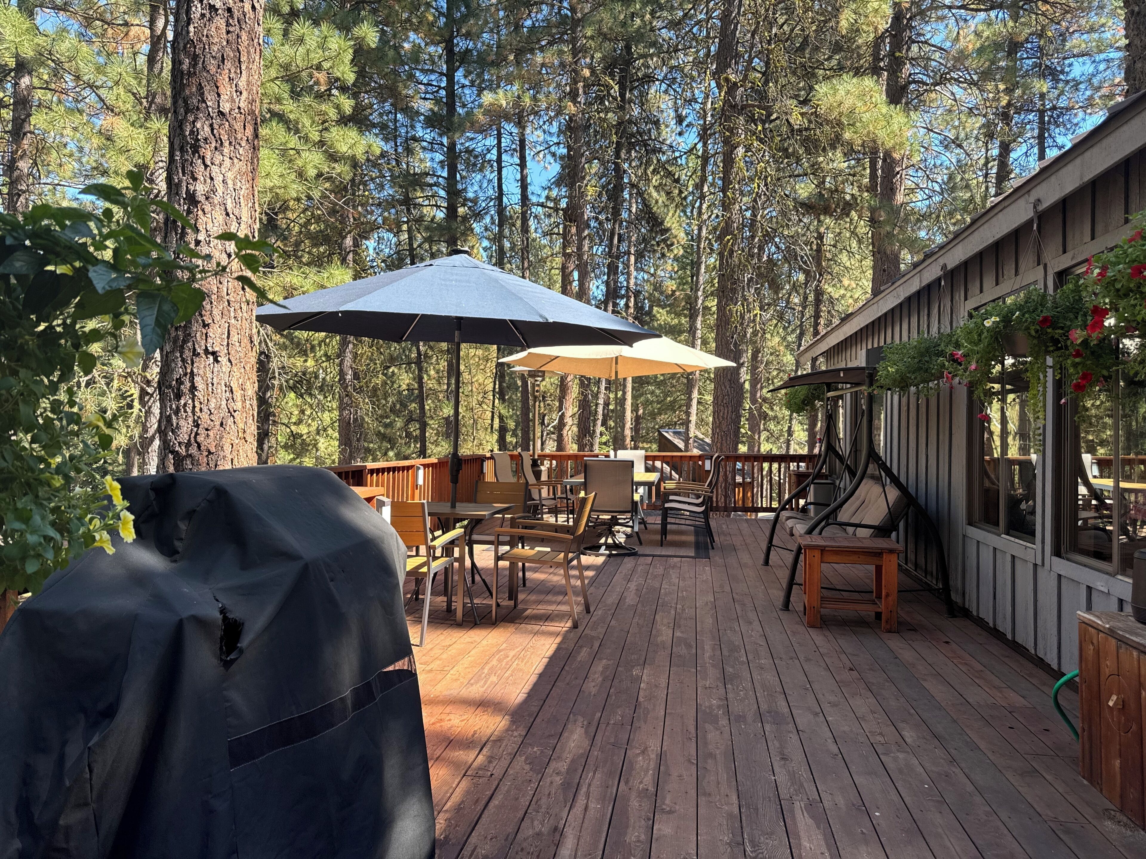 A wooden deck with outdoor seating, surrounded by tall trees.