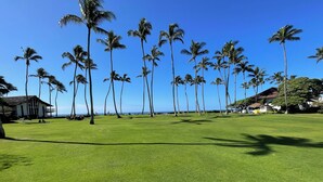 Un área verde bien cuidada con altas palmeras y una vista despejada del océano.