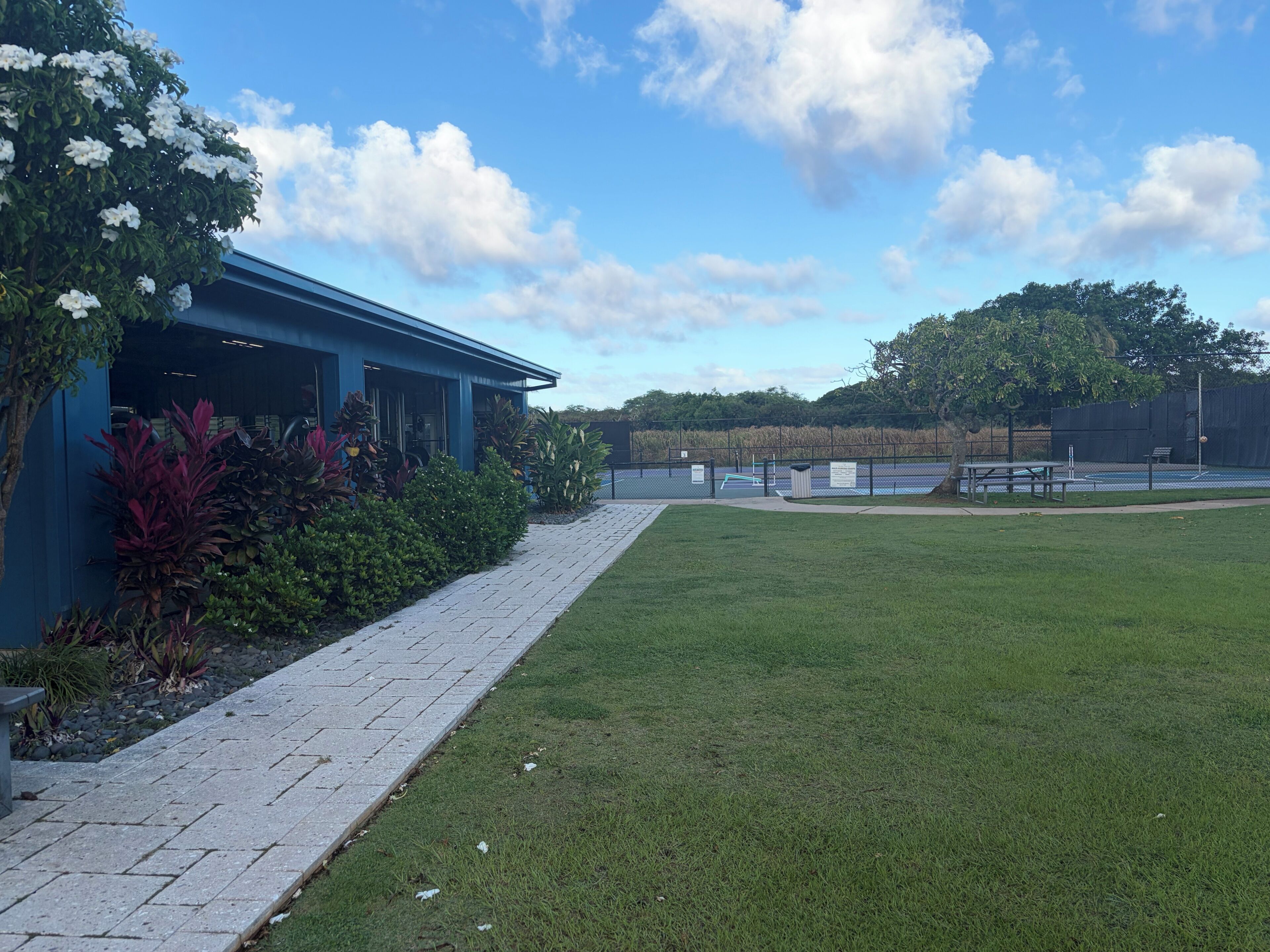 A building with a blue exterior, a paved walkway, and a grassy area with a fence and trees in the background.
