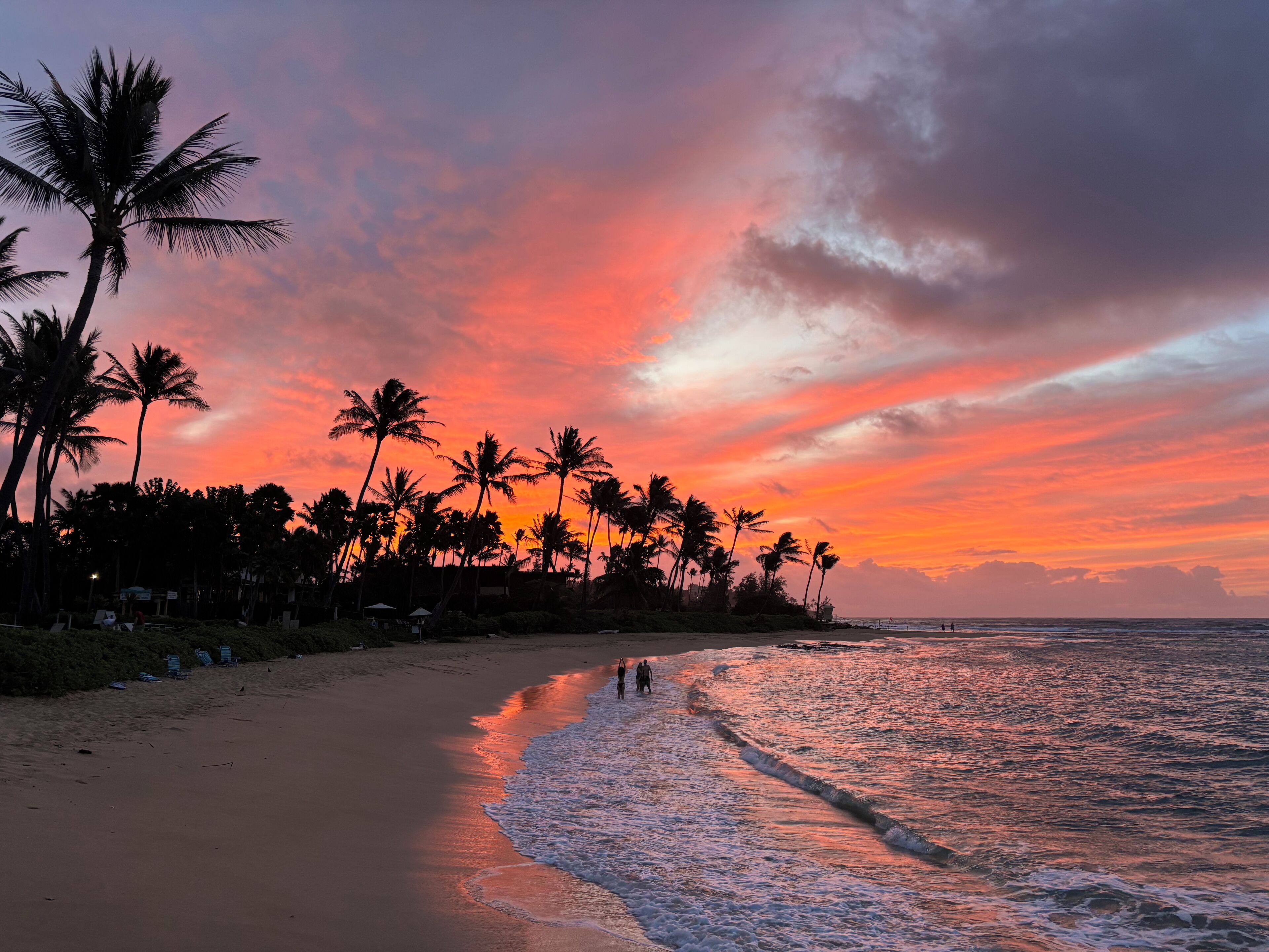Una playa con palmeras y un atardecer.