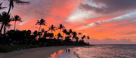 Una playa con palmeras y un atardecer.