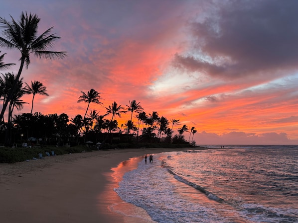 Beach nearby, sun loungers, beach towels