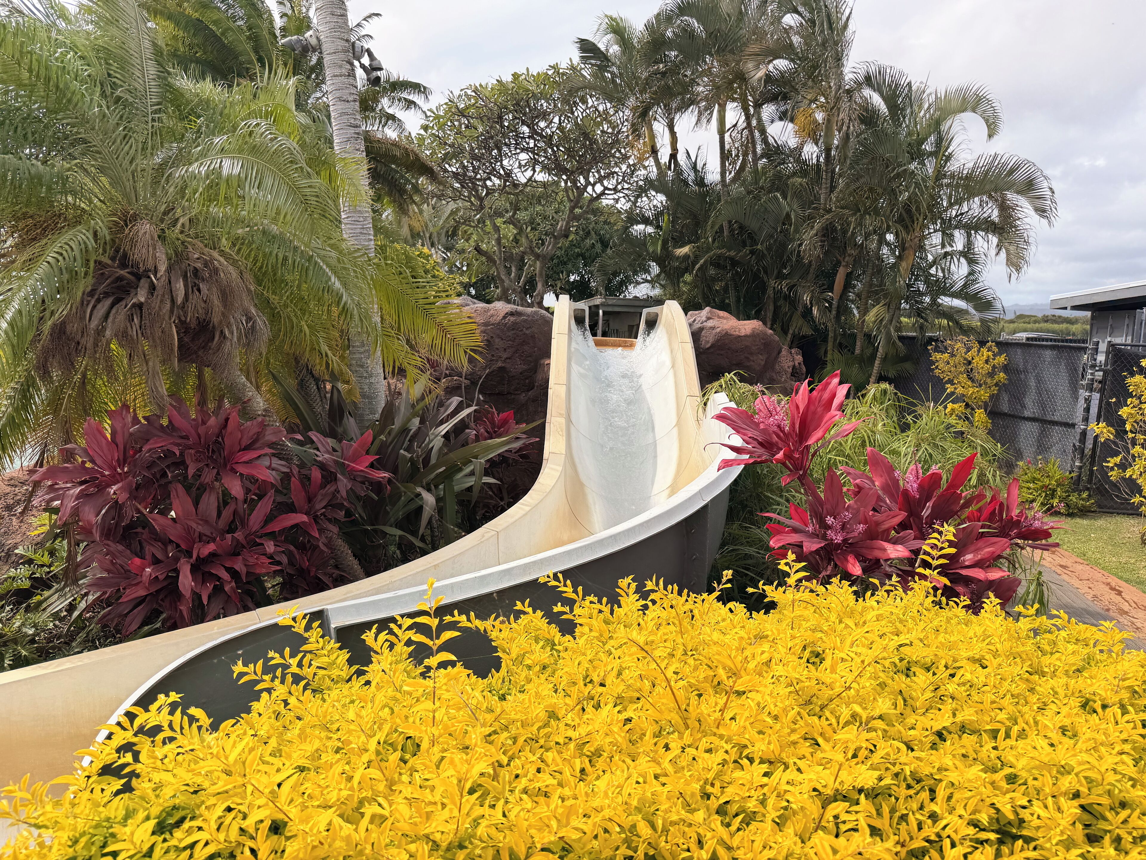 Un tobogán de agua en un jardín tropical con diversas plantas y un fondo rocoso.