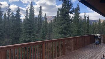 テラス / パティオ