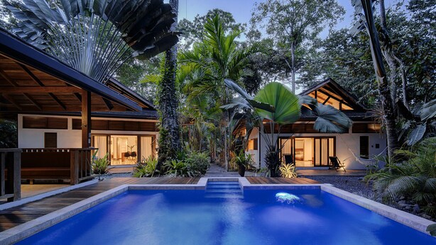 Une maison moderne dotée d’une piscine, entourée de plantes et d’arbres tropicaux.