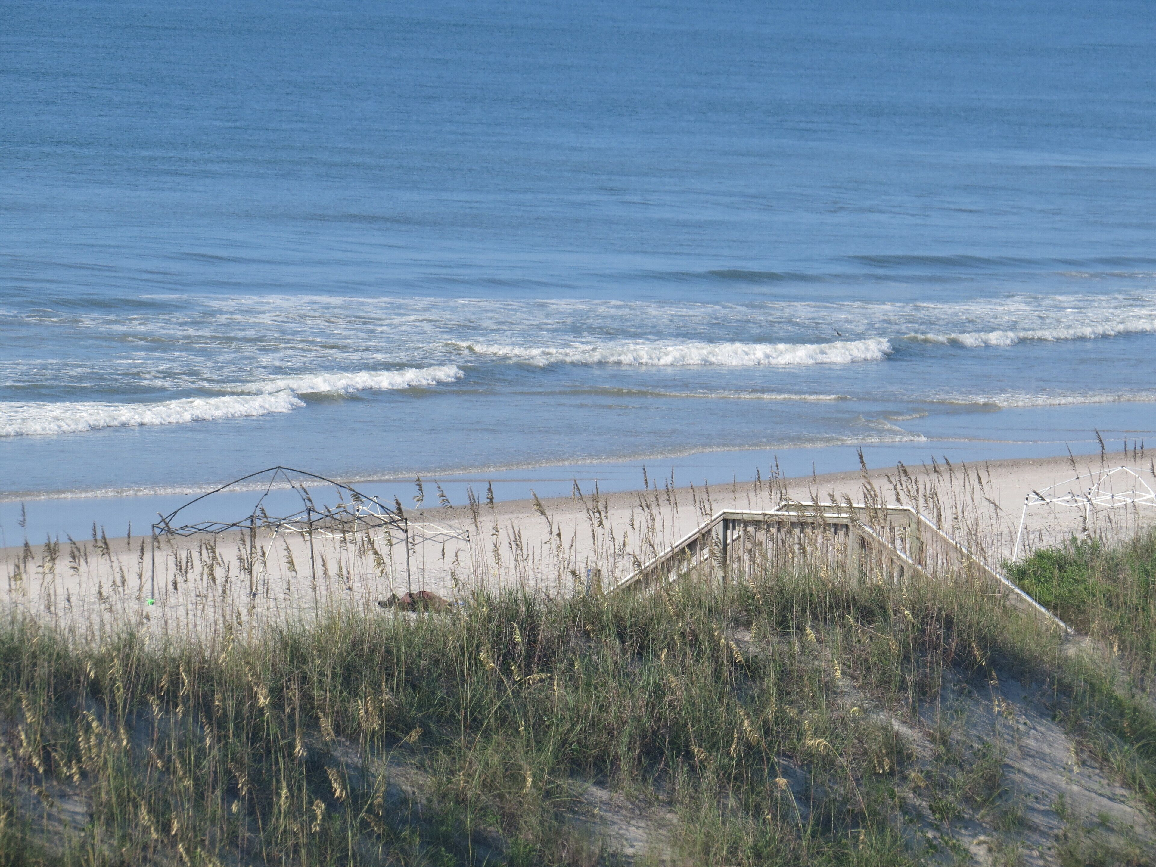 بالقرب من الشاطئ