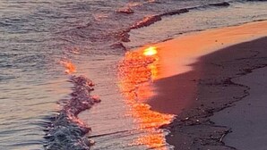 Ein Sonnenuntergang über einem Strand, wobei Wellen das Sonnenlicht reflektieren.