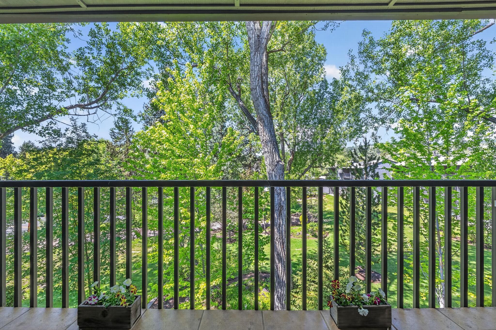 A balcony with a view of a green landscape and trees.