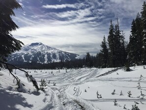 Snow and ski sports - Riverside Condo- Sweet & Sunny, AC, 100+mbps Wifi, Top Floor, 3 blks to Bend (Bend)