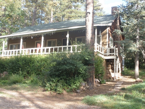 Lovely cabin a midst majestic pine trees