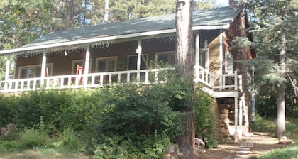 Lovely cabin a midst majestic pine trees