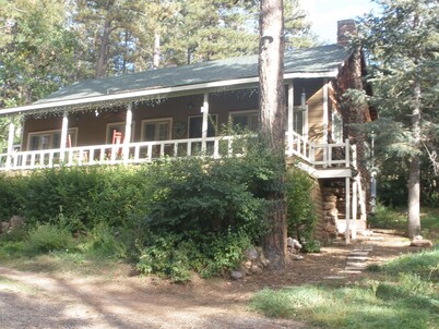 Lovely cabin a midst majestic pine trees