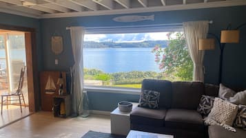 TV connectée, lecteur de DVD, livres, vidéothèque