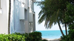 A pathway leading to a beach with a view of the ocean, surrounded by lush greenery and palm trees. - Oceanview Retreat Pool Steps Away From Beach U14 (Marathon)