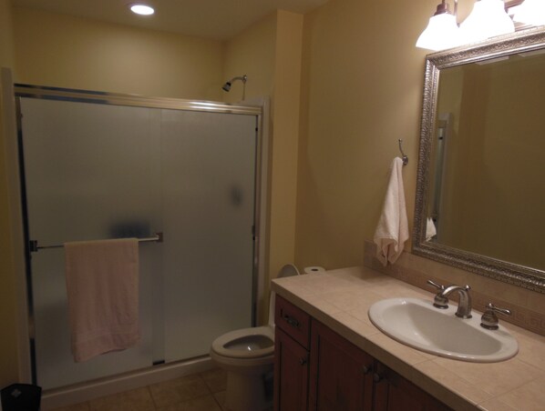 A bathroom with a glass-enclosed shower, a toilet, and a sink with a mirror.