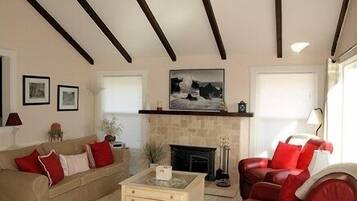 TV connectée, cheminée, lecteur de DVD, table de tennis de table