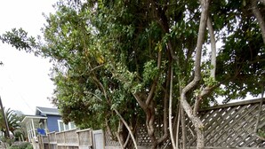 施設の敷地