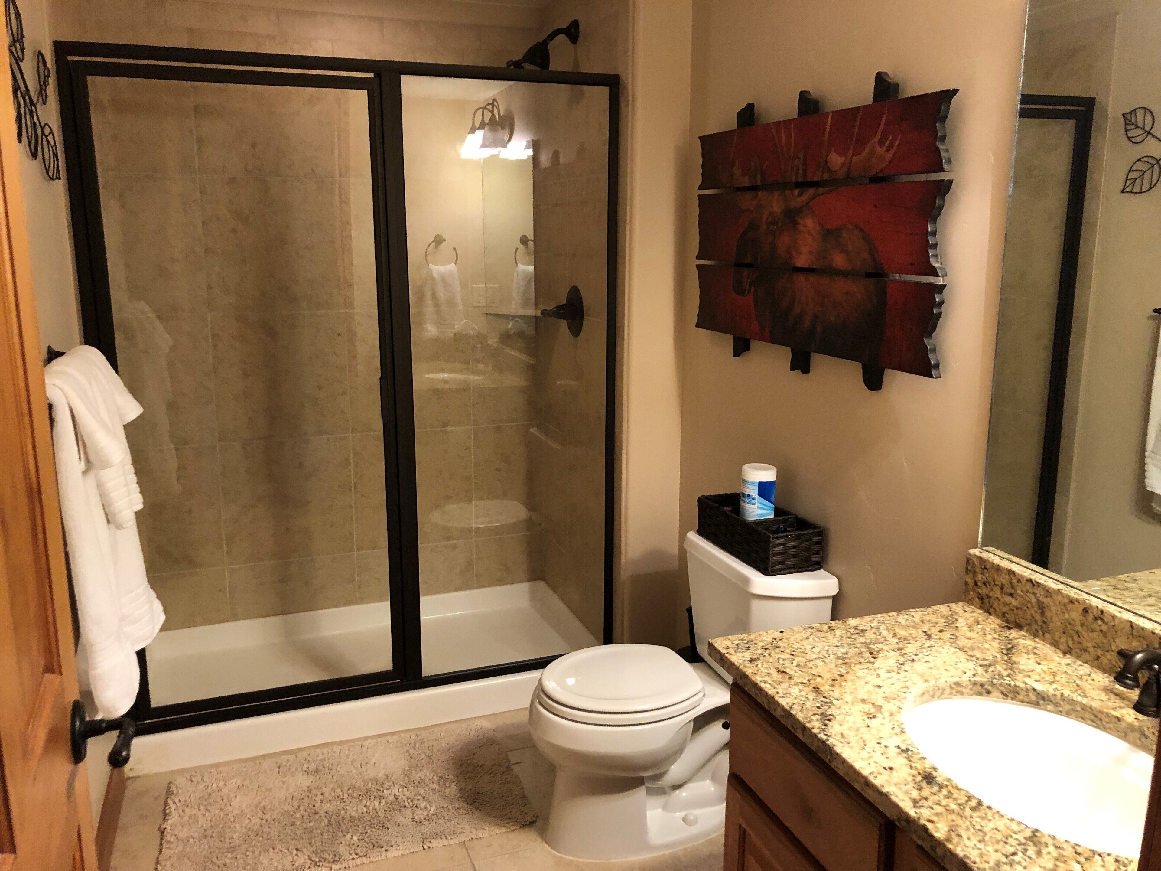 Lower level full bath