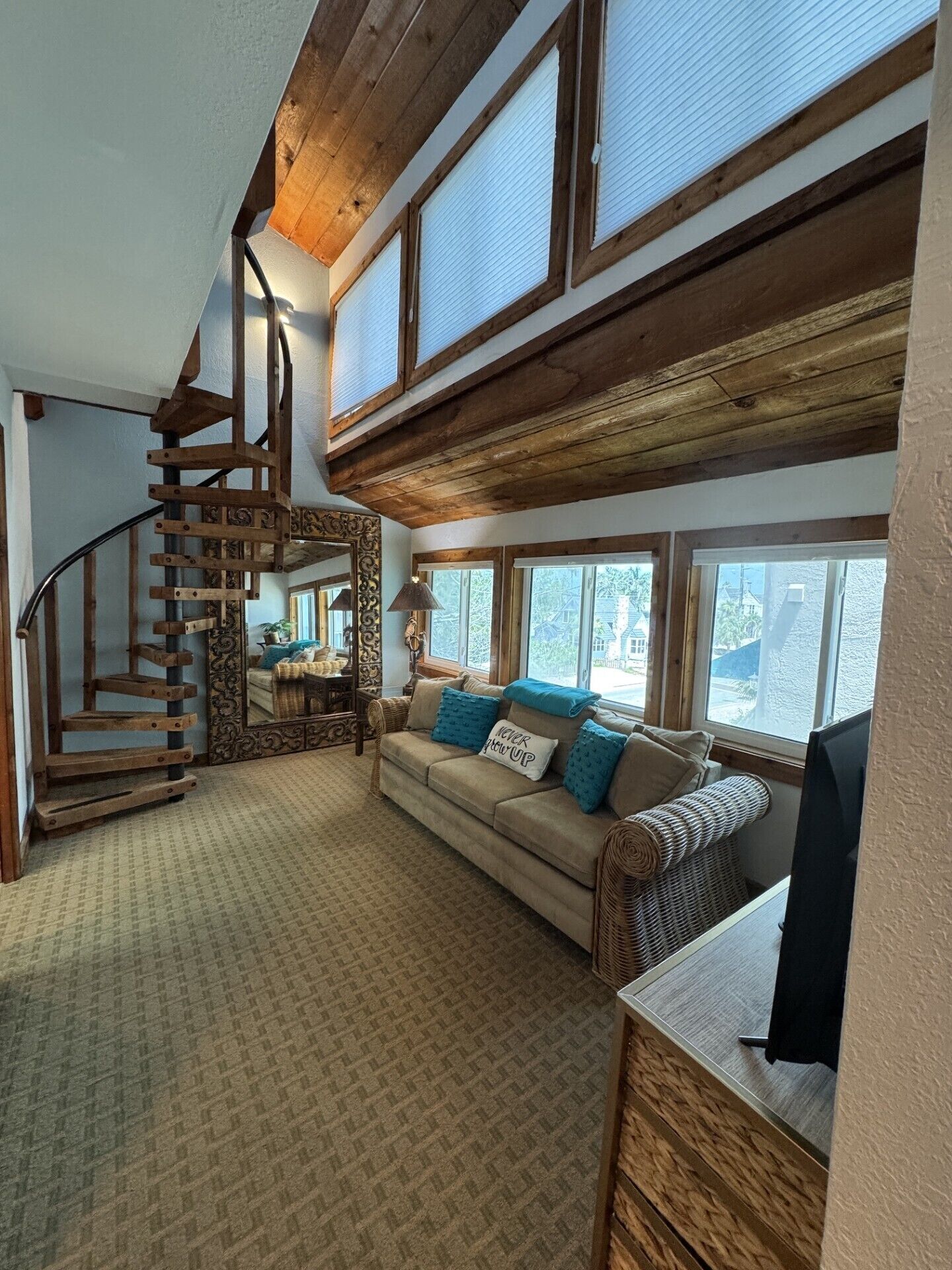 Smart TV, fireplace, books, music library