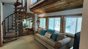 Smart TV, fireplace, books, music library