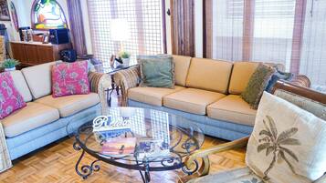 Smart TV, fireplace, books, music library