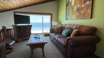 Smart TV, fireplace, books, music library