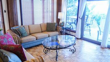 Smart TV, fireplace, books, music library