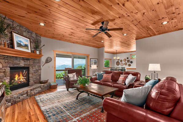 Smart TV, fireplace, DVD player, books