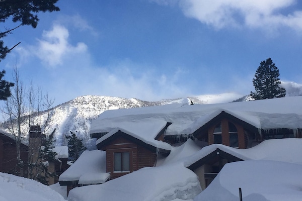 So much Snow! And easy path to front door on ground level- no icy stairs!