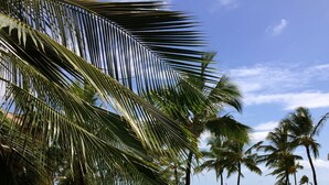 A resort with multiple swimming pools, palm trees, and a view of the ocean. - Beautiful, Ocean Front Condo With An Ocean View In Sunny Kihei, Maui! (Kihei)