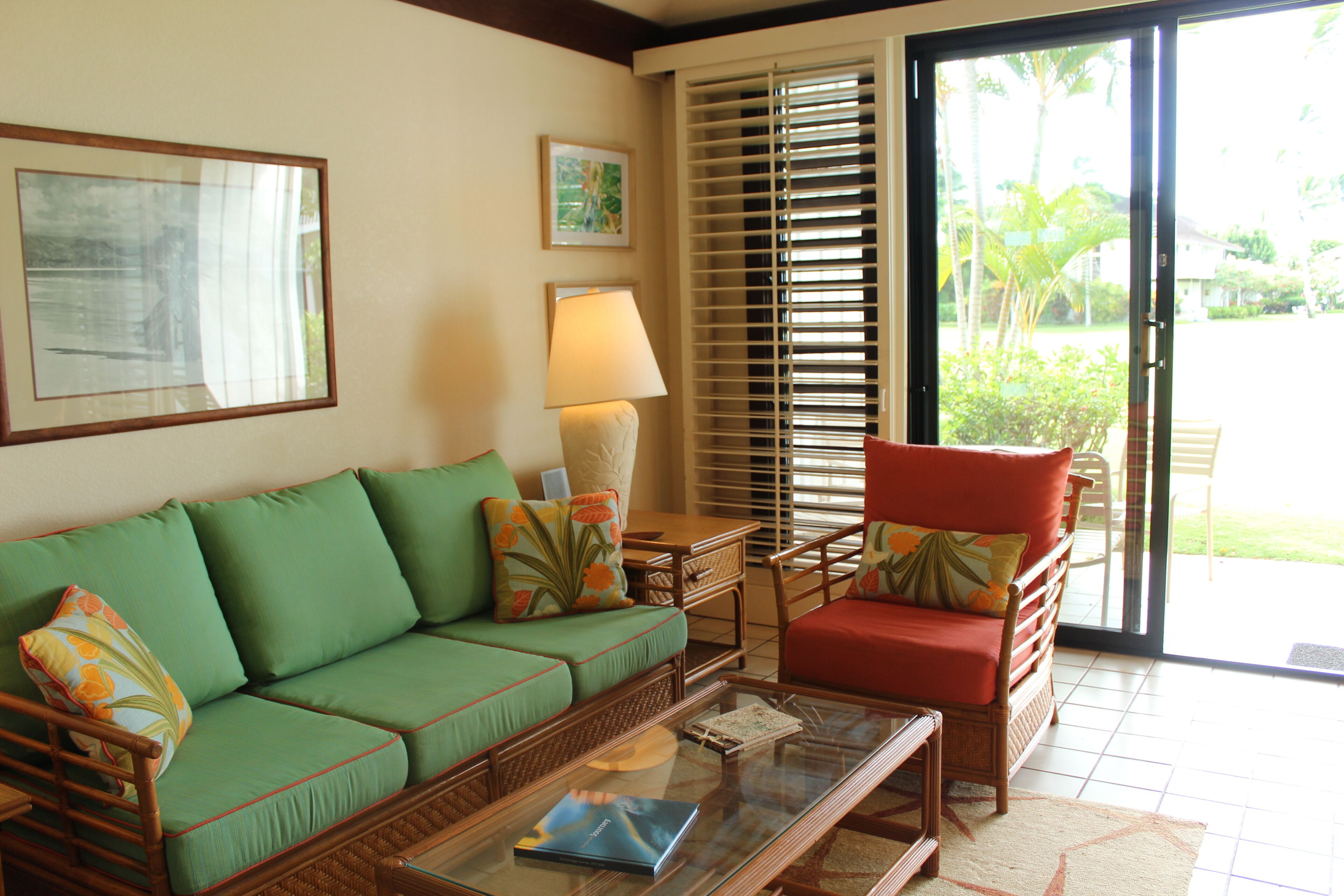 TV, DVD player, books, music library