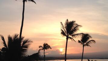 Am Strand, LiegestĂŒhle, StrandtĂŒcher