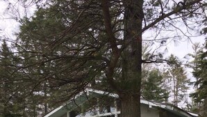 A single-story house with a green porch, a covered deck, and a large window. - Sun, Sand, Snow, Year Round Recreation, With Private Beach (Roscommon)