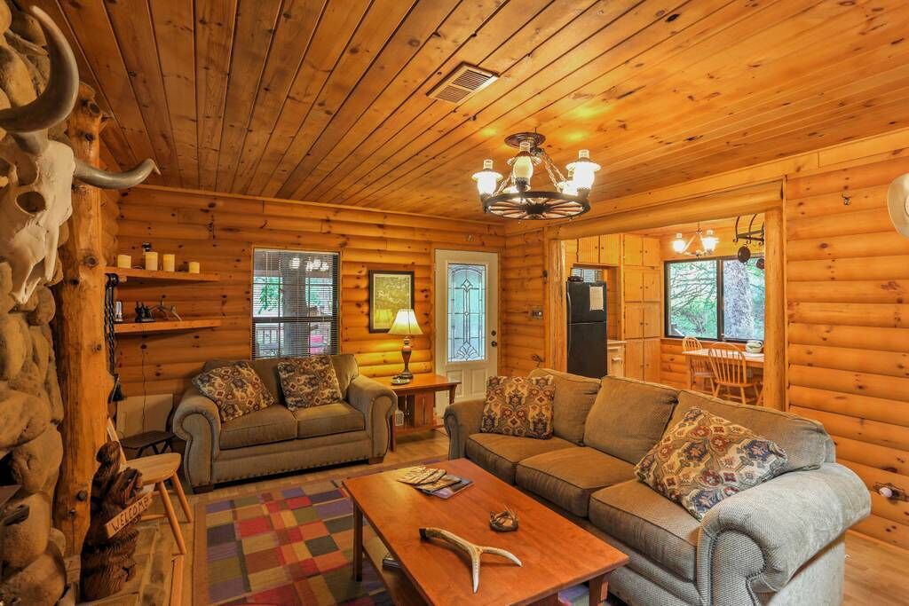 TV connectée, cheminée, lecteur de DVD, livres