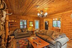 Smart TV, fireplace, DVD player, books