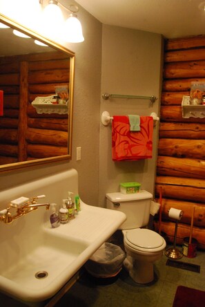 Combined shower/bathtub, jetted bath, hair dryer, towels