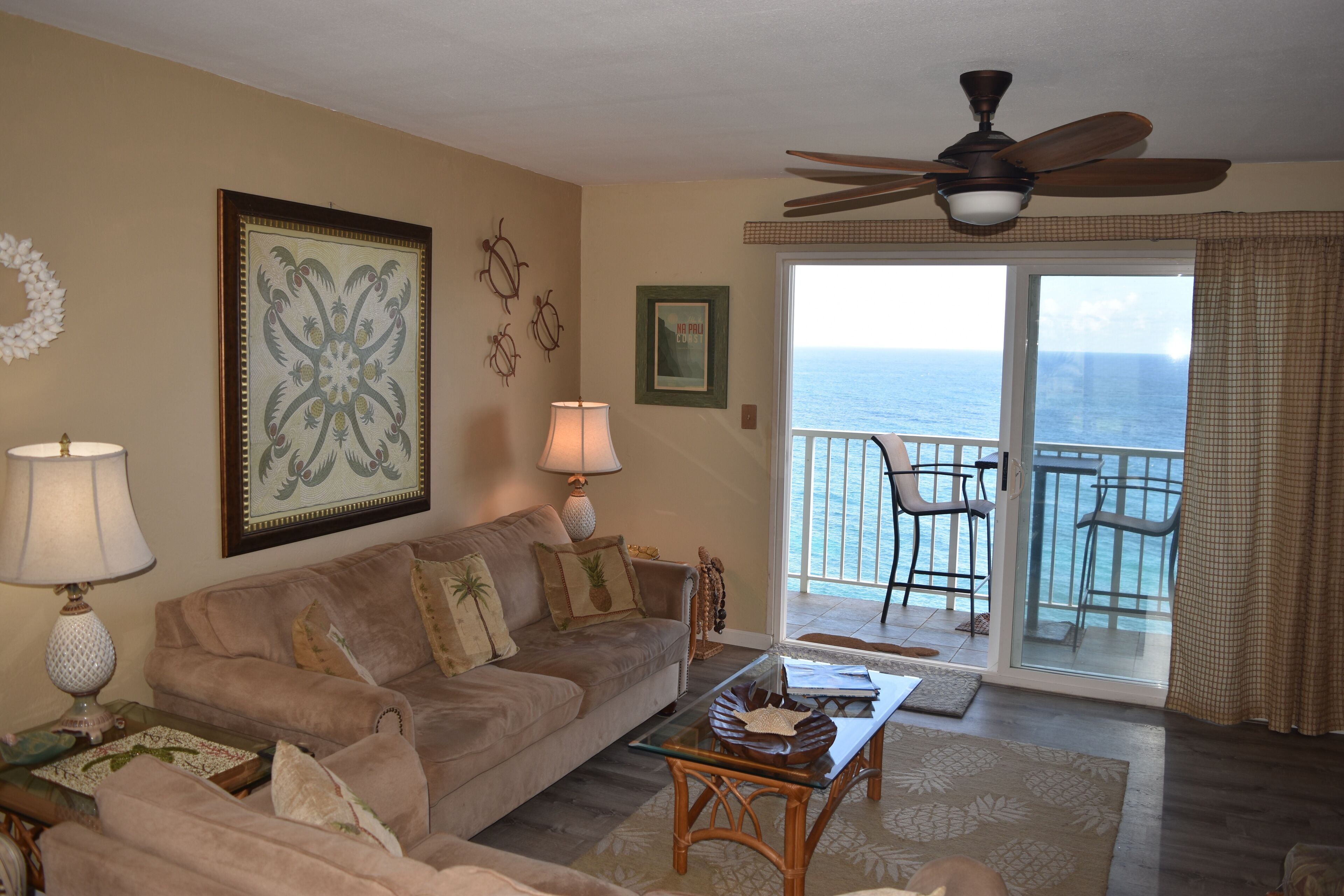 TV, DVD player, books, video library