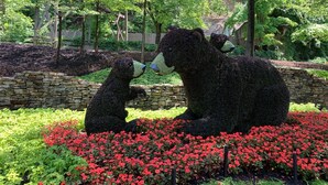 Un jardin agrémenté d’une sculpture d’ours, entouré de fleurs rouges et de murs en pierre.