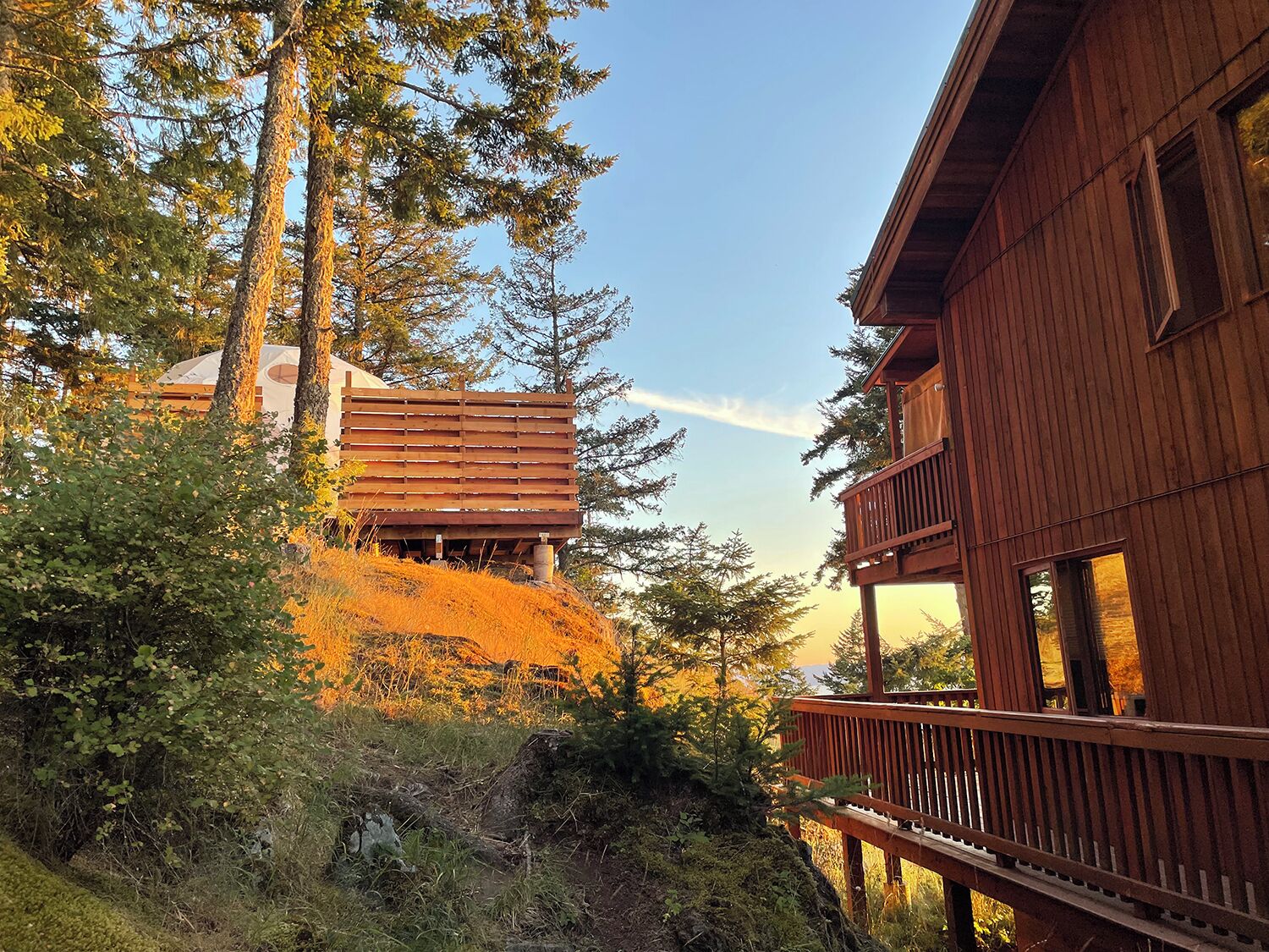Une cabane en bois dotée d’un balcon, entourée de grands arbres et surplombant un ciel dégagé.
