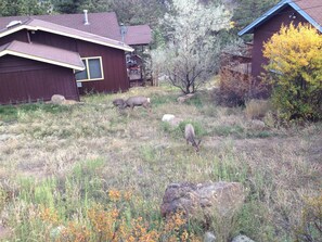 Exterior - Longs Peak View, walk to downtown, historic charm (Estes Park)