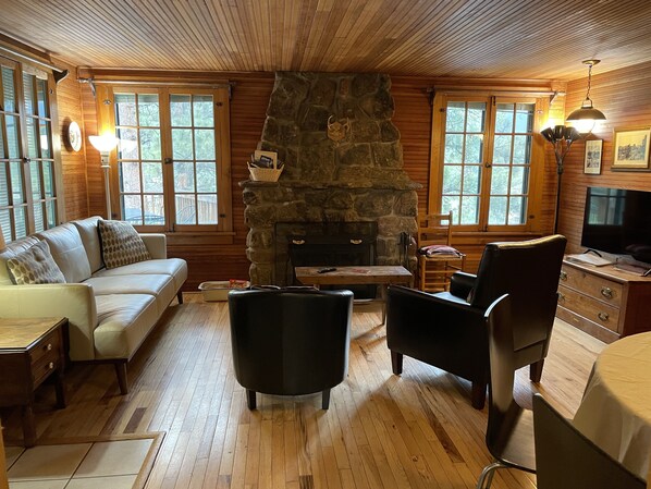 تلفزيون ذكي، مدفأة