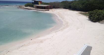 Newly Build - Across The Road from The Beach - 7 bdrm/7 bthrms