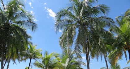 Fabulous Meerblick, nur wenige Gehminuten zum Strand