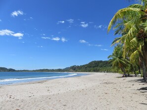 Plage à proximité, chaises longues, serviettes de plage