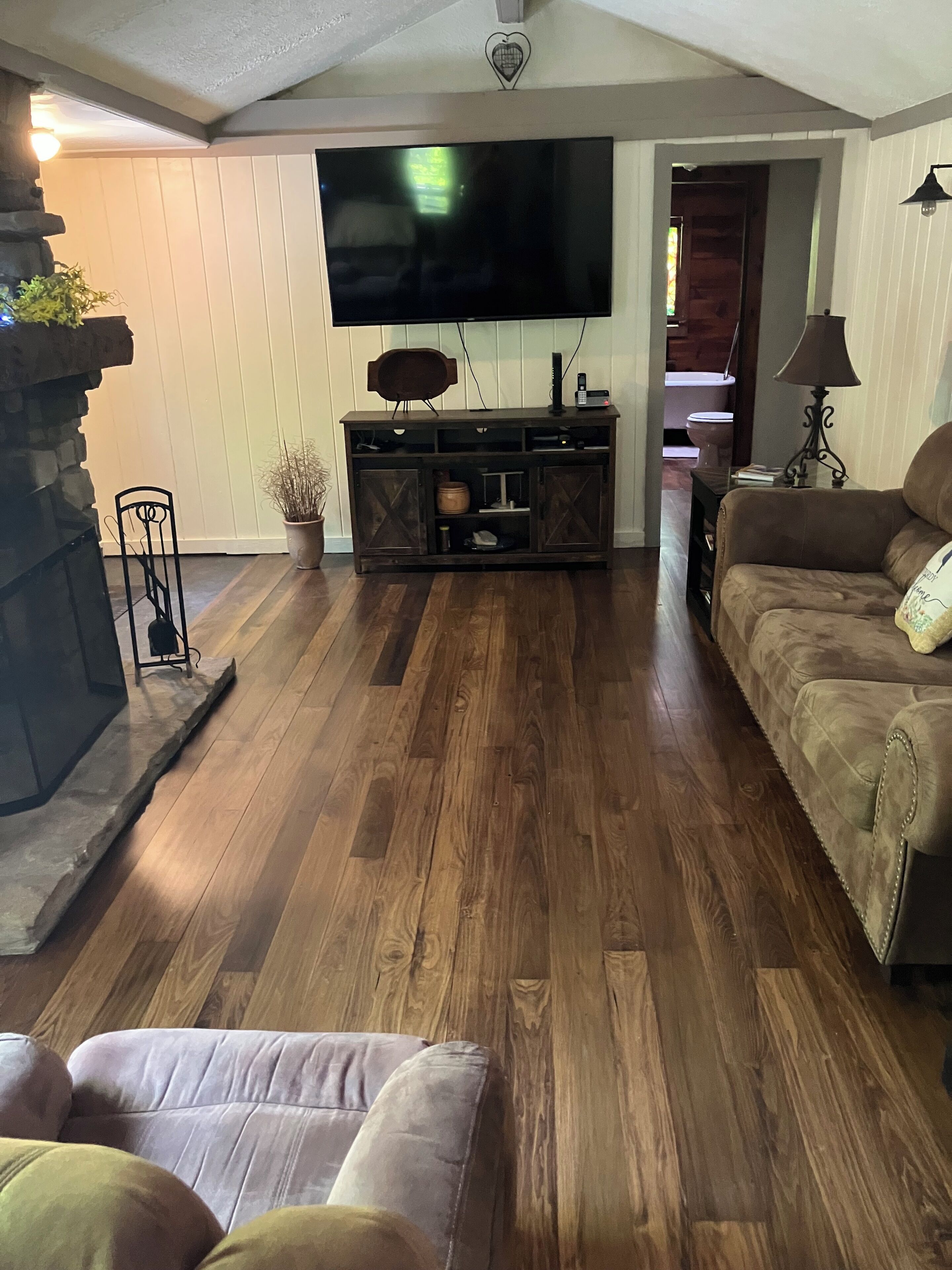 Smart TV, chimenea, reproductor de DVD, videoteca